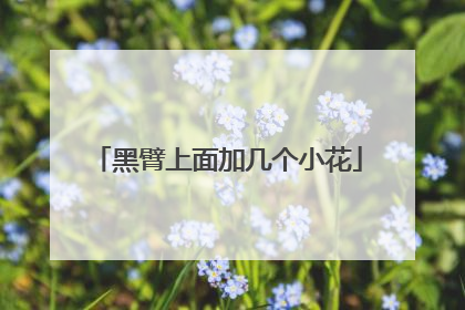 黑臂上面加几个小花