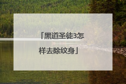 黑道圣徒3怎样去除纹身