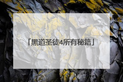 黑道圣徒4所有秘籍