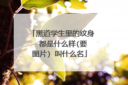 黑道学生里的纹身  都是什么样(要图片) 叫什么名