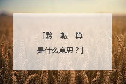 黔 転 箅 是什么意思？