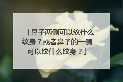 鼻子两侧可以纹什么纹身？或者鼻子的一侧可以纹什么纹身？
