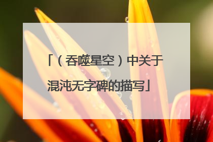 （吞噬星空）中关于混沌无字碑的描写