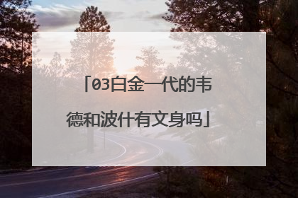 03白金一代的韦德和波什有文身吗