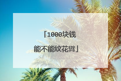 1000块钱能不能纹花臂