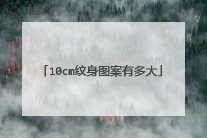 10cm纹身图案有多大