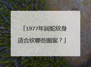 1977年属蛇纹身适合纹哪些图案？