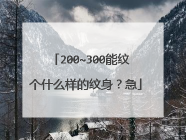 200~300能纹个什么样的纹身？急
