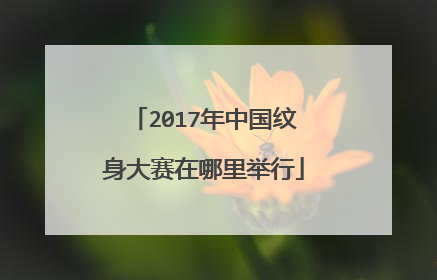 2017年中国纹身大赛在哪里举行
