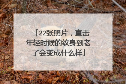 22张照片，直击年轻时候的纹身到老了会变成什么样