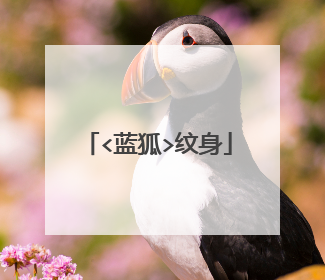 <蓝狐>纹身
