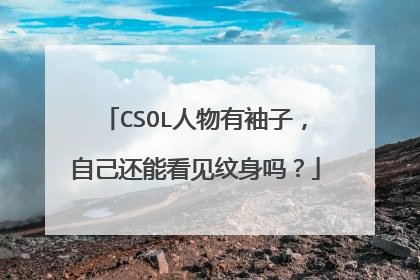 CSOL人物有袖子，自己还能看见纹身吗？