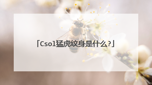 Csol猛虎纹身是什么?