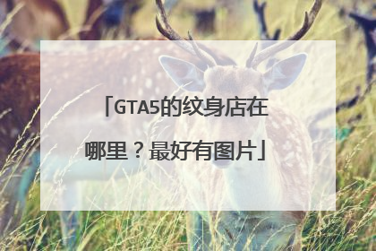 GTA5的纹身店在哪里?最好有图片