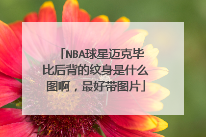 NBA球星迈克毕比后背的纹身是什么图啊，最好带图片