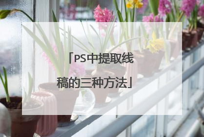 PS中提取线稿的三种方法