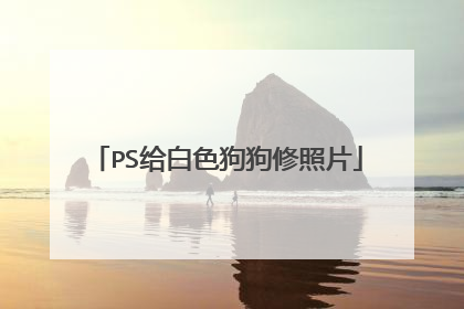 PS给白色狗狗修照片