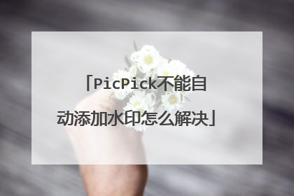 PicPick不能自动添加水印怎么解决