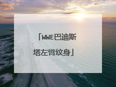 WWE巴迪斯塔左臂纹身