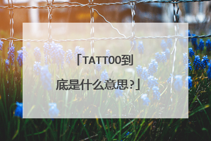 TATTOO到底是什么意思?