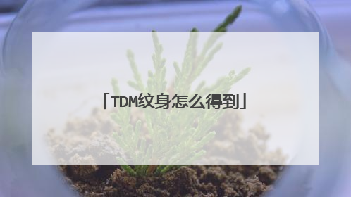 TDM纹身怎么得到