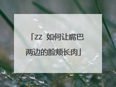 ZZ 如何让嘴巴两边的脸颊长肉