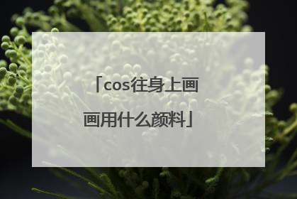 cos往身上画画用什么颜料