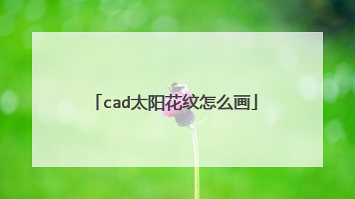 cad太阳花纹怎么画