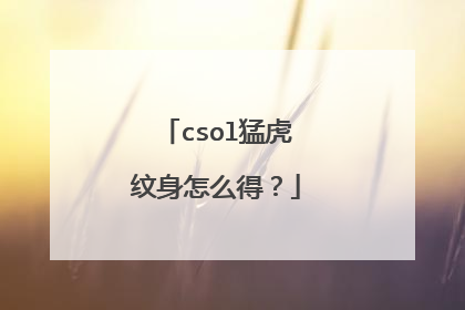 csol猛虎纹身怎么得？
