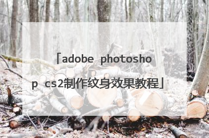 adobe photoshop cs2制作纹身效果教程