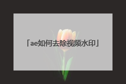 ae如何去除视频水印