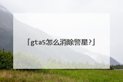 gta5怎么消除警星?