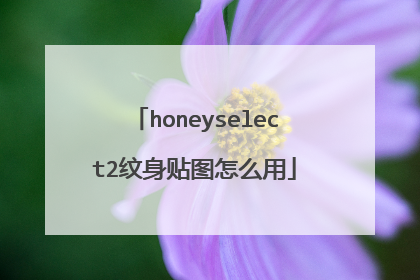 honeyselect2纹身贴图怎么用