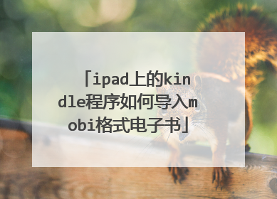 ipad上的kindle程序如何导入mobi格式电子书