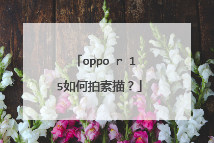 oppo r 15如何拍素描？