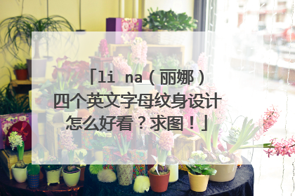 li na（丽娜）四个英文字母纹身设计怎么好看？求图！