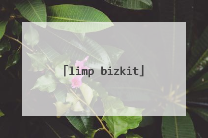 limp bizkit