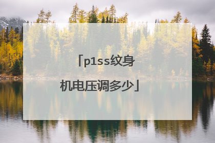 p1ss纹身机电压调多少