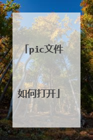 pic文件如何打开