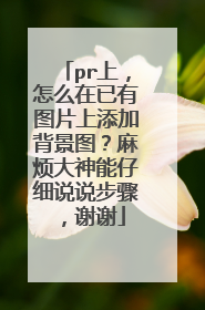 pr上，怎么在已有图片上添加背景图？麻烦大神能仔细说说步骤，谢谢