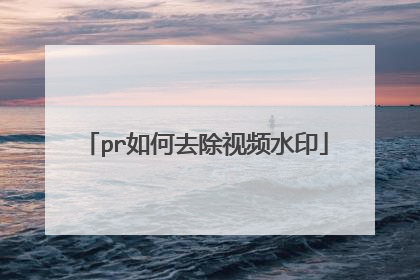 pr如何去除视频水印