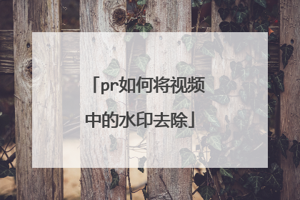pr如何将视频中的水印去除