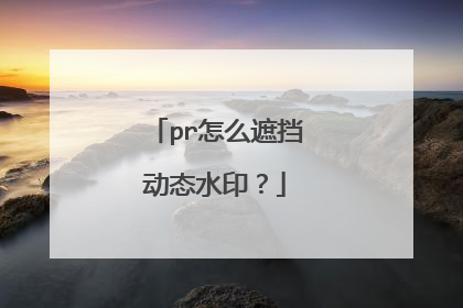 pr怎么遮挡动态水印？