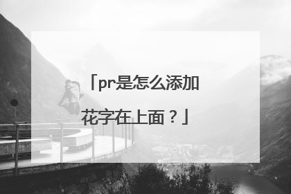 pr是怎么添加花字在上面？