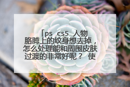 ps cs5 人物胳膊上的纹身想去掉，怎么处理能和周围皮肤过渡的非常好呢？ 使用什么工具，怎样用，请具体点