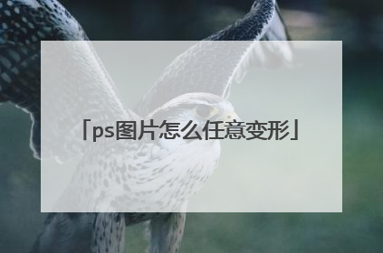 ps图片怎么任意变形