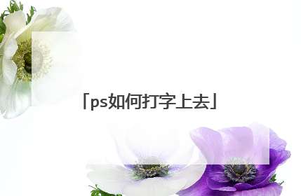 ps如何打字上去