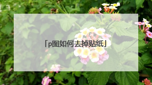 p图如何去掉贴纸