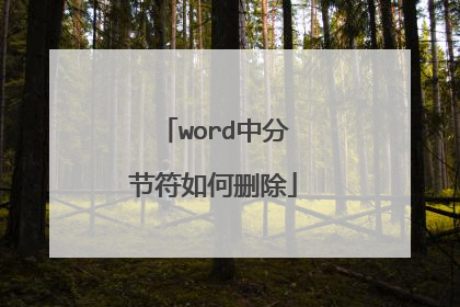 word中分节符如何删除
