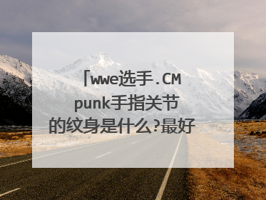 wwe选手.CM punk手指关节的纹身是什么?最好写上每个字母都纹在哪只手指上.谢谢